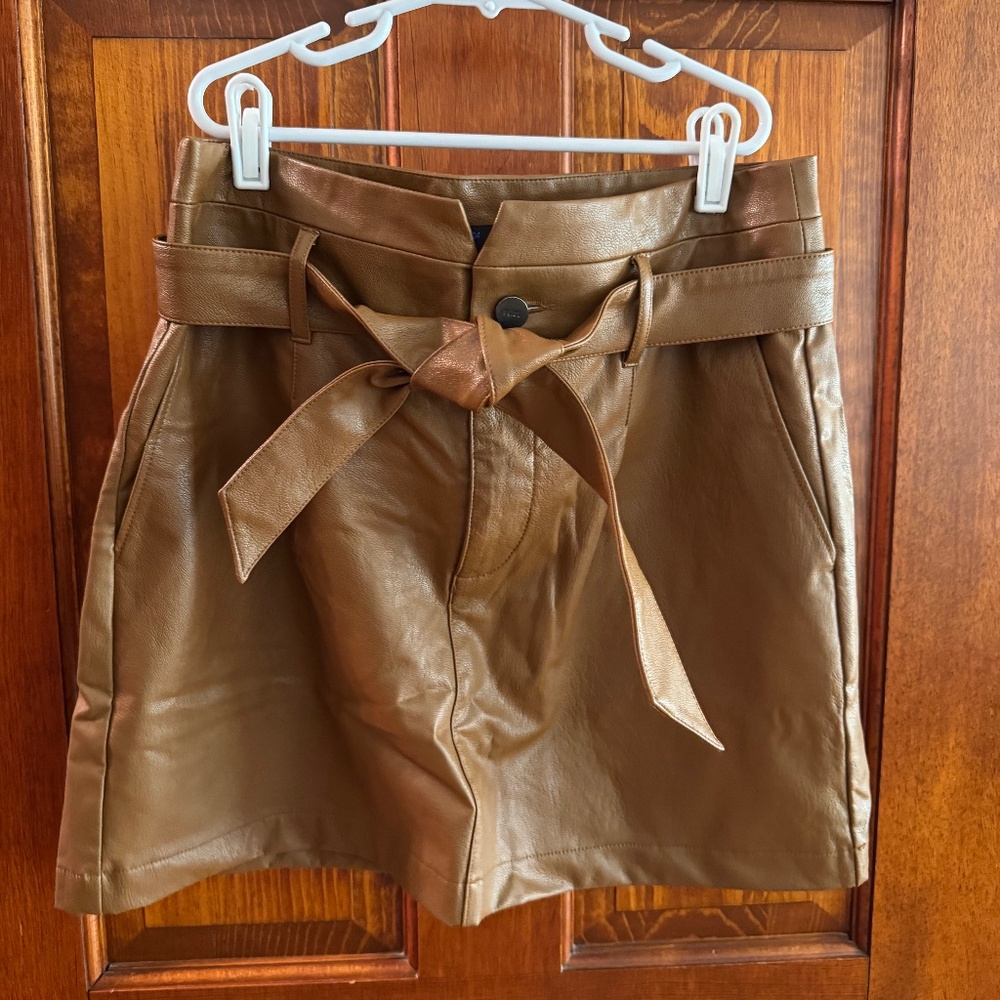 Paige Faux Leather Mini Skirt